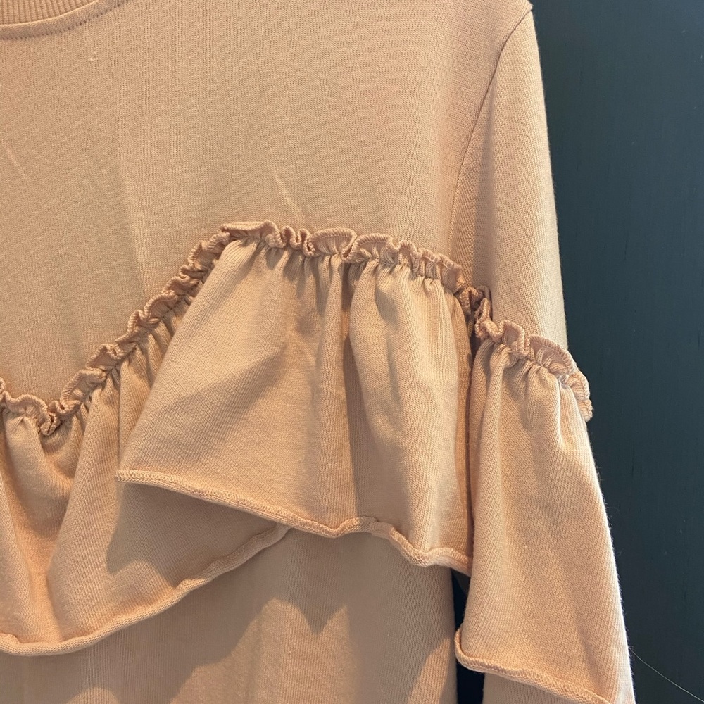 TOPSHOP Pink Ruffle Sweatshirt - Picture 2 of 3